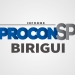 procon birigui scaled