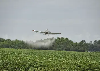 Agrotóxicos são lançados de avião