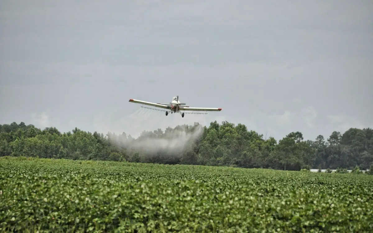 Agrotóxicos são lançados de avião