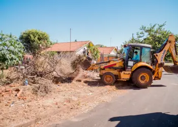 limpeza terreno