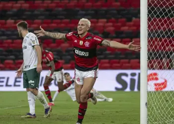 O atacante Pedro foi covardemente agredido pelo preparador físico Pablo Fernandez -
© Alexandre Vidal/Flamengo/Direitos Reservados