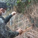 Foto: Polícia Militar Ambiental/ Divulgação