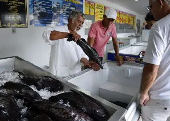 (Foto: José Cruz/Agência Brasil)