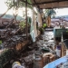 Foto da tragédia de Brumadinho, Minas Gerais