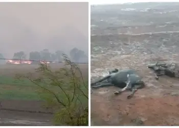 Queimada deixou mortos em Santo Antônio do Aracanguá — Foto: Arquivo pessoal