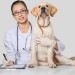 veterinario