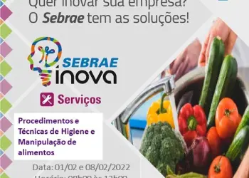 sebrae curso