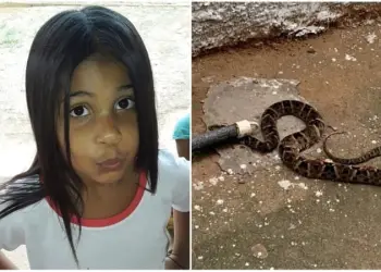 Any Luiza Soares dos Santos foi picada por uma cobra em escola de Iaciara, Goiás — Foto: Montagem/g1 Goiás