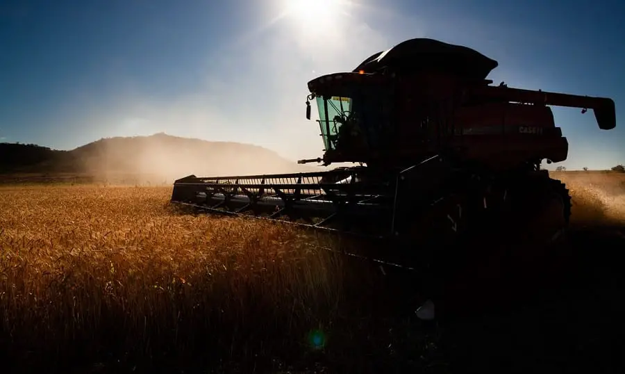 colheita de soja agro