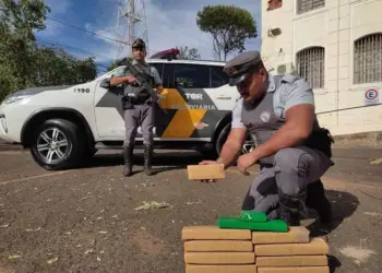 Tabletes de maconha apreendidos com adolescente em ônibus (Foto: Ivan Ambrósio/ Jornal Interior)