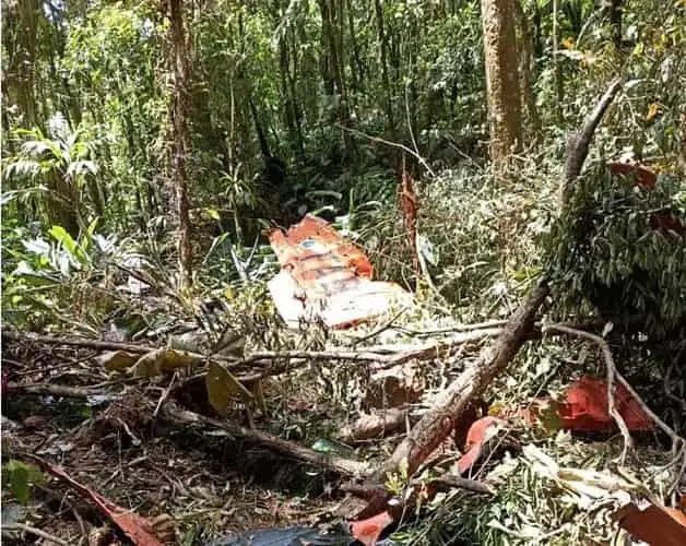 Avião da FAB foi encontrado destruído neste sábado — Foto: Prefeitura Canelinha/ Divulgação