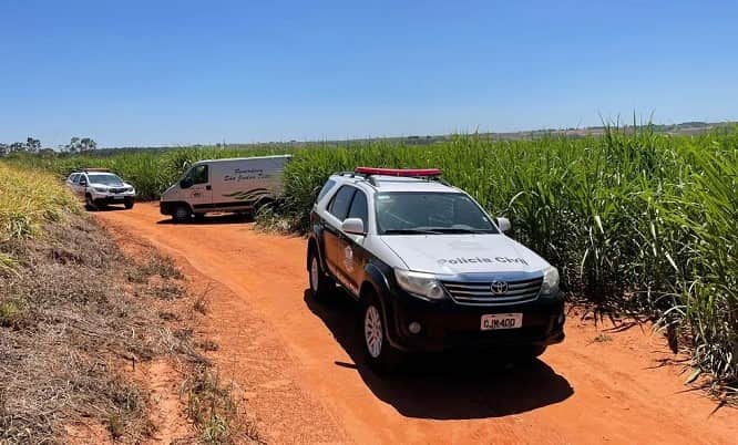 Corpo foi encontrado em canavial de Birigui — Foto: Arquivo Pessoal