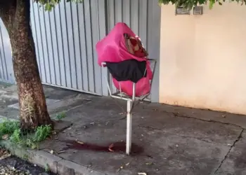 Corpo de mulher foi encontrado em lixeira do bairro Boa Vista, em São José do Rio Preto (SP) — Foto: Arquivo pessoal