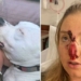 Pit bull de 6 anos foi adotado após anos de maus-tratos do antigo dono
REPRODUÇÃO/TWITTER/@PETNEWS2DAY