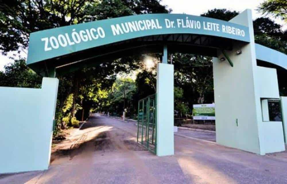 ZOOLOGICO min