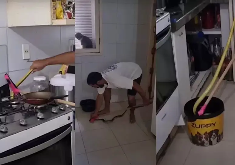 cobra na cozinha