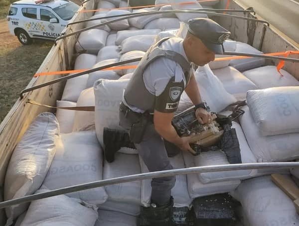 Motorista é preso transportando maconha em rodovia de Nhandeara (SP) — Foto: Polícia Militar Rodoviária/Divulgação