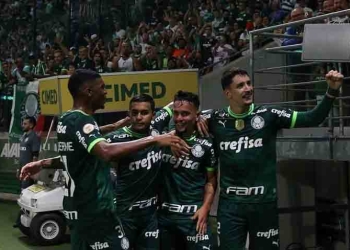 4 palmeiras