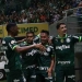 4 palmeiras