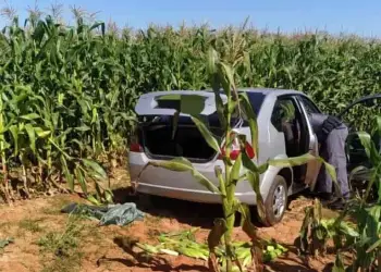 Momento em que a PM vistoriava carro no meio do milharal (Foto: Birigui Notícias da Hora)