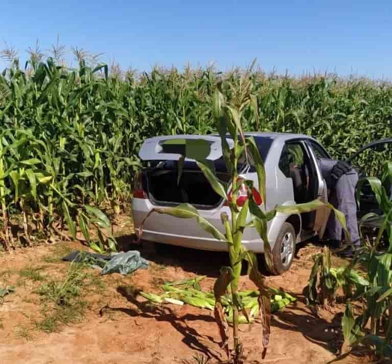 Momento em que a PM vistoriava carro no meio do milharal (Foto: Birigui Notícias da Hora)