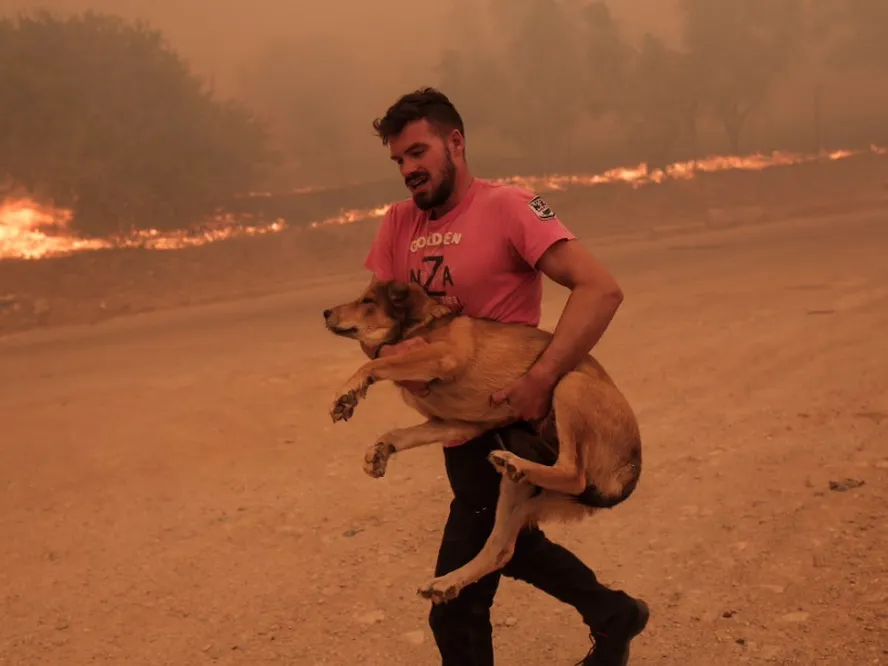 homem salva cachorro na grecia