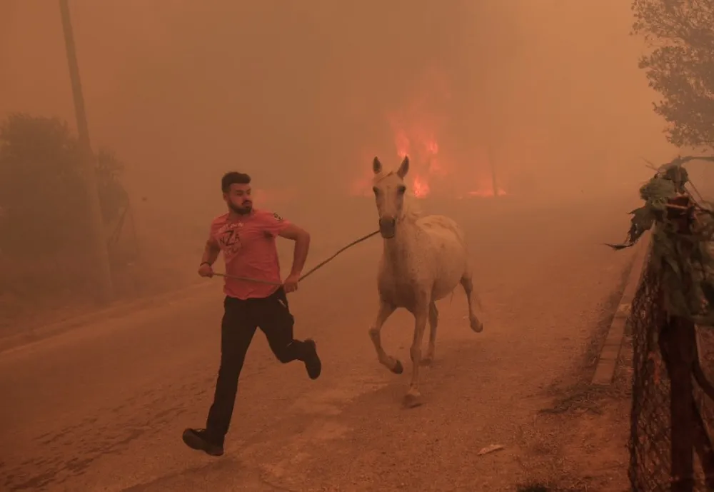 homem salva cavalo na grecia