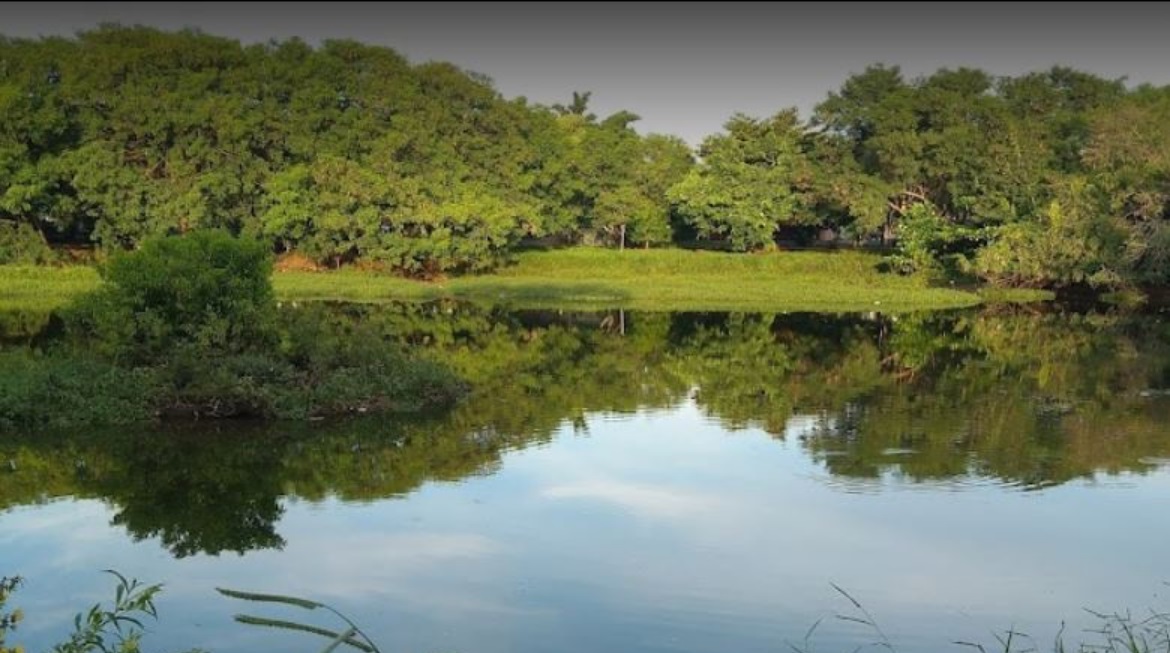 Lagoa do Miguelão