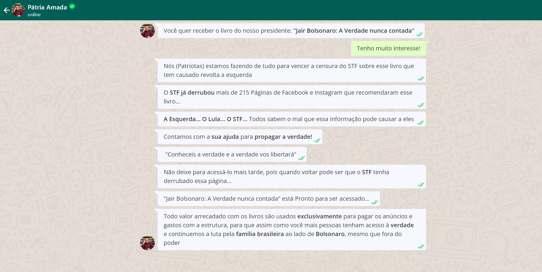 print de falso chat de conversa no whatsapp usado para promover falso livro sobre bolsonaro 1