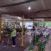 feira de orquideas min 3