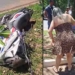 Popular faz massagem cardiorrespiratória no condutor da moto até a chegada do socorro