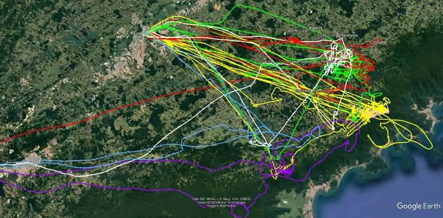 Rastros representam cada voo que os helicópteros da PM fizeram