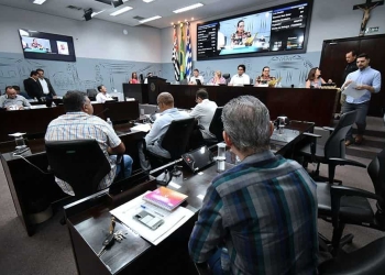 Foto: Angelo Cardoso/Câmara Municipal de Araçatuba
