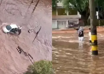 regaste de mae e bebe em bauru