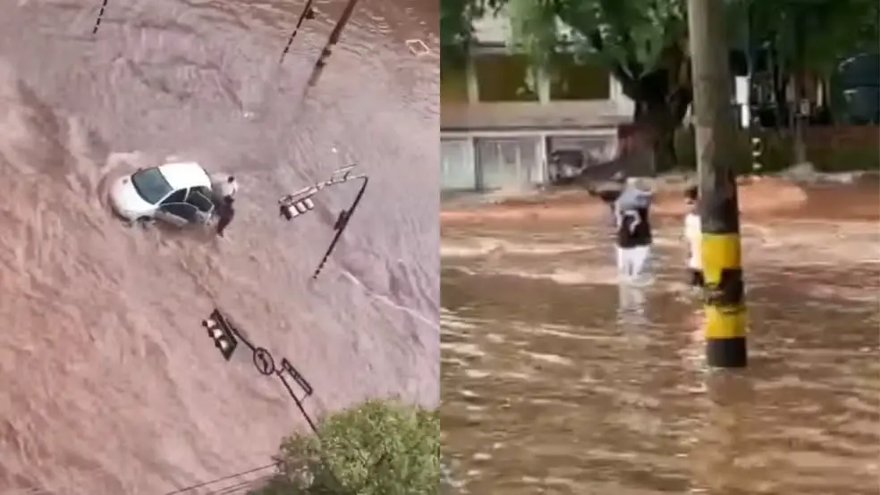 regaste de mae e bebe em bauru