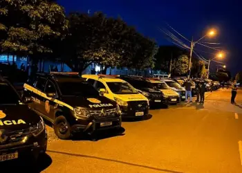 Foto: Polícia Civil/Divulgação