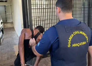 Acusado foi apresentado pela GCM no plantão policial de Araçatuba (Foto: Divulgação)