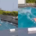 homem fica em piscina durante terremoto