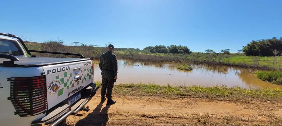 Foto: Polícia Militar Ambiental/ Divulgação