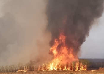 incendio aracangua min