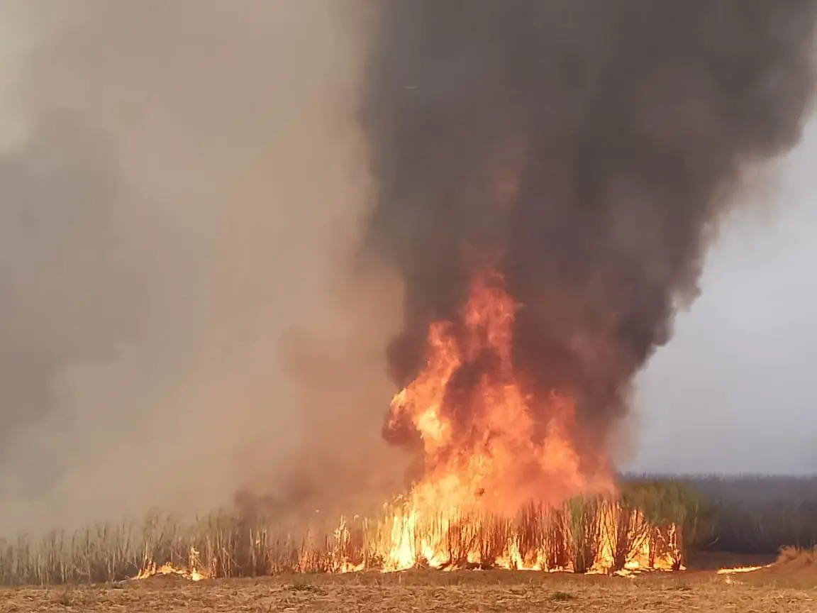 incendio aracangua min