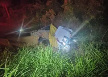 Caminhão que o motorista da caminhonete bateu de frente em uma rodovia em Bilac (SP) — Foto: Arquivo pessoal