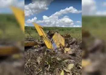 Piloto morre em queda de avião agrícola em área rural de Fernandópolis (SP) — Foto: Iago Sincero/Arquivo pessoal