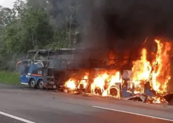 Passageiro incendeia ônibus | Reprodução/Polícia Rodoviária Federal (PRF)