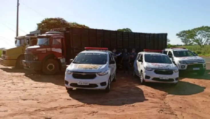 Foto: Divulgação/ Polícia Militar