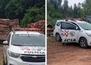 Homem morre esmagado por carga de madeira em acidente de trabalho em Guarantã (SP) — Foto: Garça News/reprodução