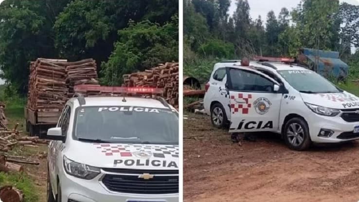 Homem morre esmagado por carga de madeira em acidente de trabalho em Guarantã (SP) — Foto: Garça News/reprodução