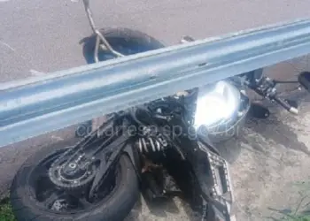 Motociclista morreu após atingir a carreta em Anhembi — Foto: Artesp/Divulgação