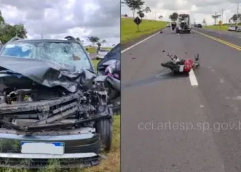 Veículo tentou desviar de uma ave morta no meio da pista e acabou atingindo uma motociclista — Foto: Artesp / Reprodução