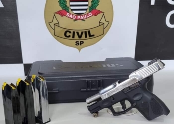 Fotos: Polícia Civil/Divulgação